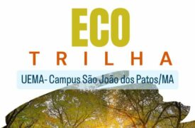 ECO Trilha